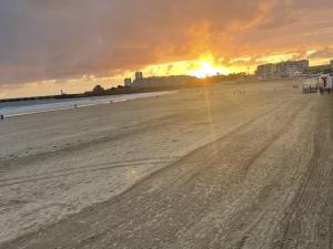 Le Patio de la Tour ! hotel 1 chambre avec SAUNA PRIVE sur le remblai