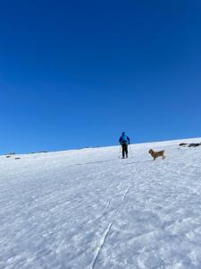 Lakeside Chalet Vinkka