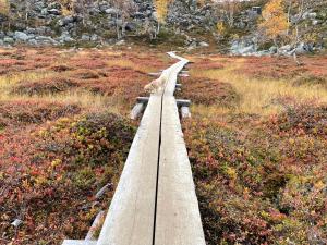 Lakeside Chalet Vinkka