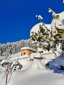 UlMi's Tiny Haus - Dalaas