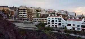 Gecko Apartment with private parking - 1 minutes from the oceanfront!