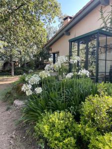 Casa Rural Finca De Musgo