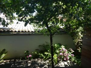 ABC Ferienwohnungen Atelierwohnung F