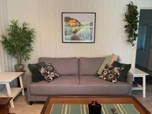 Jokkerin ja Virpin majoitus - 普达斯耶尔维