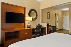 King Suite - Non-Smoking room in Comfort Suites Saginaw