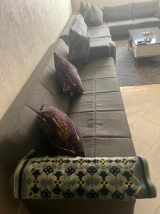 Appartement Dari proche du centre ville