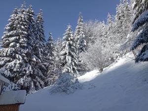 Cabană în inima munților - Gálkuti Kulcsosház