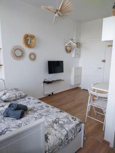 Appartements Elegance au Bord de l-Eau : photos des chambres