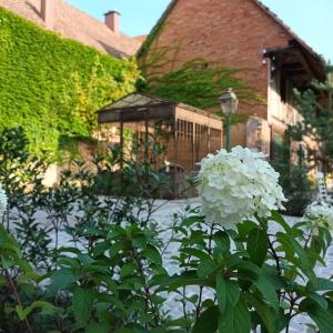 Maisons de vacances Domaine LaPromise : photos des chambres