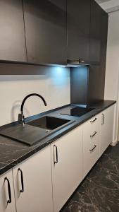 Studio Chic, Rezerva acum! Central, cafea, ceai, apa, parcare publica gratuita, baie cu cabina si cada