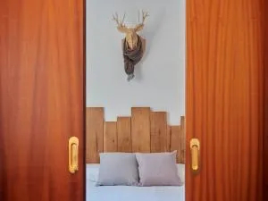 Dolsa 43 - a pie de pistas ! - Grau Roig