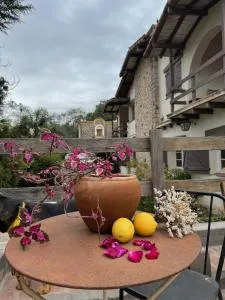 Casa mansa - 温基约