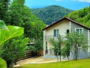 Cottage Timotea - Tsaghveri