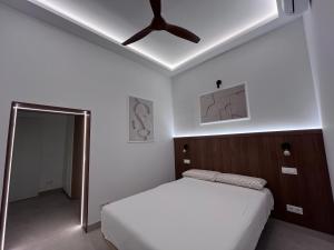 E11 Delux Plaza Mayor