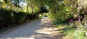 Hospedaje Ruca peñi