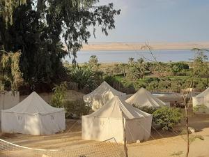 Tunis Tone Ecolodge & Campsite