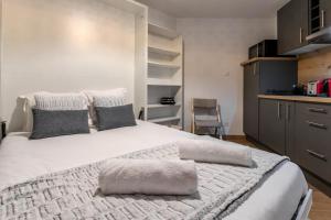 Lachenal - Centre - Navette de ski - Balcon