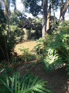 Lindo Rancho na beira do rio com piscina