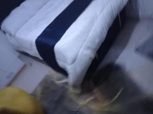 Modern Furnished Studio Apartment TRM Roysambu