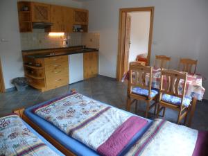 One-Bedroom Apartment (4 Adults) room in Penzion Yellow