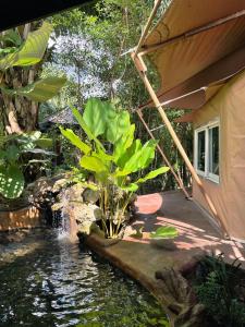 River tales ริเวอร์เทลส์แก่งกระจาน