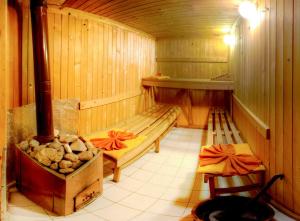 Hotel Alpin - 91 Bansko
