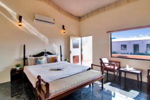 Jungle Book Ranthambore