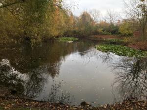 Tante Jannis Sommerpension