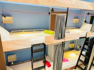 Social Backpacker Hostel & Rooftop Bar