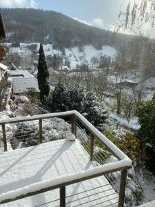 Le Bain du Corbeau - SchwarzwaldPlus-Villa mit über 80 Gratis-Attraktionen