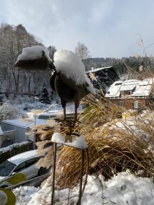 Ferienhaus Le Bain du Corbeau - inklusive Gratis-Eintritt zu 80 touristischen Highlights im Schwarzwald