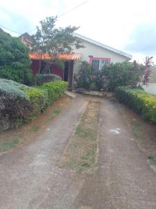 Perfect Reflection Place