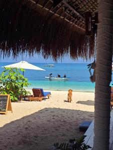 Avilas Horizon Dive Resort Malapascua