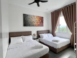 Mountain View 507