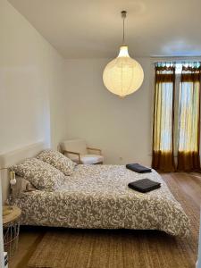 Appartements Bel appart fonctionnel et lumineux en centre ville, clinique et Tram a 5 mn, situation ideale ! : Appartement 1 Chambre