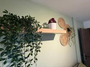 Maisons de vacances Full House, Jacuzzi, Netflix, 8 pers, free Parking 10- Colmar : photos des chambres