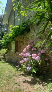 Maisons de vacances Gite le Trouilh : photos des chambres