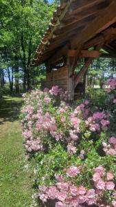 Maisons de vacances Gite le Trouilh : photos des chambres