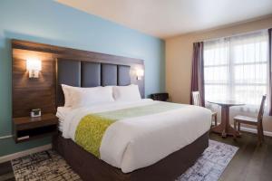 King Room with Marina View room in Inn at Port Gardner Ascend Hotel Collection