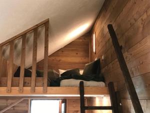 Cozy Apartment close to the ski slopes