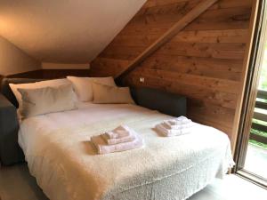 Cozy Apartment close to the ski slopes