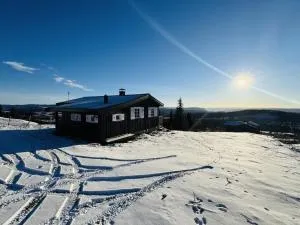Cozy cabin with breathtaking views on Golsfjellet - Gol