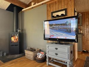 Cozy cabin with breathtaking views on Golsfjellet