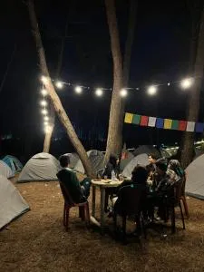 Camp Hornbill by Touropedia - Kohīma