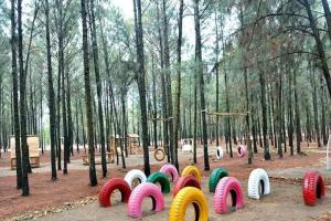 Flamigo Dai Lai Resort - Happy Villa