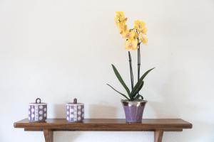 Casa Su Barone 2 img4