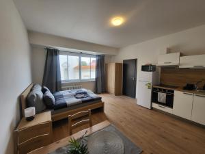 City Center Apartments - Moderna Brno Římské náměstí II