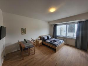 City Center Apartments - Moderna Brno Římské náměstí II