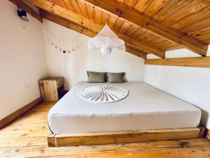 Golden hour tiny house