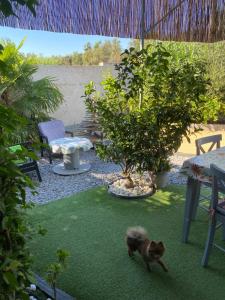 Appartements Studio Marymer : photos des chambres